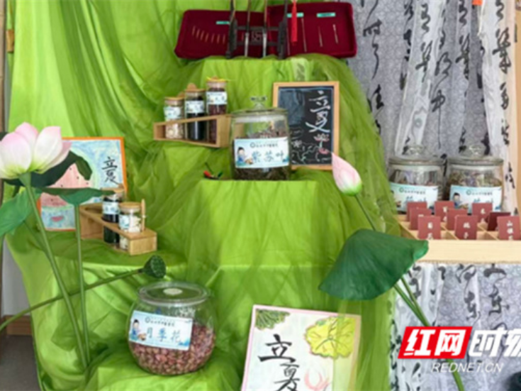 深耕医育融合 传承中医国粹 永州打造中医药特色托育服务新样板