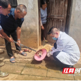永州:紧盯狂犬病风险监测 守护万家安宁
