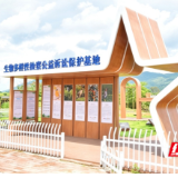 访渡口、观候鸟、摘脐橙、看龙舟:道县白马渡打造沉浸式研学宝藏地