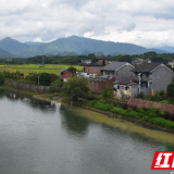 从红军渡到油茶林——道县八家村的“红绿”接力