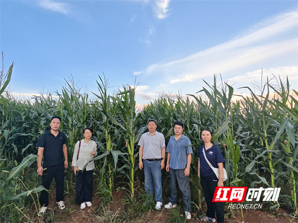 微信图片_20260708101106.jpg 微信图片_20260708101106.jpg