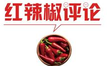 【地评线】红辣椒网评：迟来的“春运”，不变的家国情