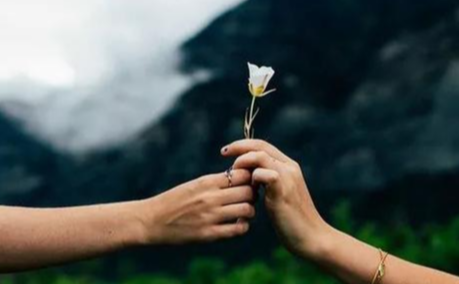 婚姻需求下降，背后原因值得探究