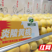 视频丨湘农荟、果呀呀上新啦！“弗兰果子”炎陵黄桃特饮邀你沁甜一夏