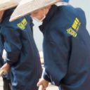 创新激活老字号，湖南双峰伏天晒酱忙