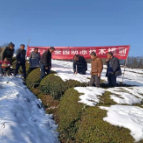 常德石门县专家雪中送“技”   情暧山区茶农