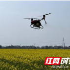 无人机成农业新帮手 430多亩地约6小时完成作业