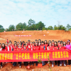 “出手吧,姐姐——湘妹子来植树” 全省各界妇女掀起爱绿植绿护绿活动热潮