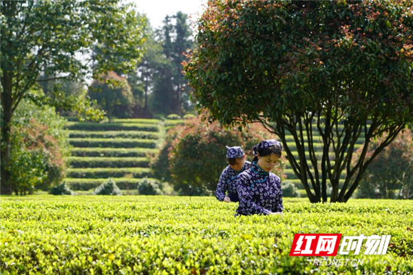 7300f1a88a674091fca3783a38f6fc5.jpg 7300f1a88a674091fca3783a38f6fc5.jpg