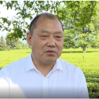 畅聊潇湘茶｜夏文斌：持续赋能，让“潇湘”茶品牌更响更亮更优