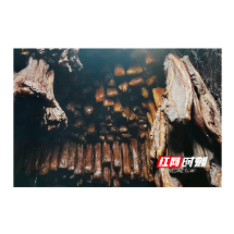邵阳市绥宁县民族中学举办“保护未成年 预防性侵害”主题班会