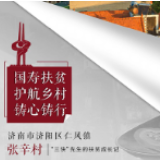 “三快”先生的扶贫成长记 记中国人寿济南市分公司驻村扶贫干部高成伟
