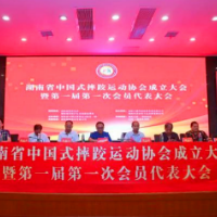 焕发传统体育新活力 湖南省中国式摔跤运动协会正式成立