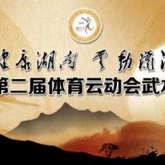 湖南省体育云动会武术云竞赛总评审收官