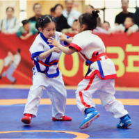 湖南省第二届中国式摔跤大众赛在长沙开赛