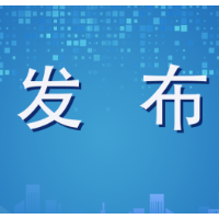 郴州市中心城区新增可办证项目名单（2021年第11期）