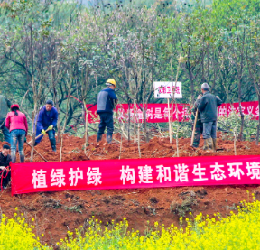 苏仙区：十四五开局之年植树添绿正当时