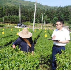 清风化雨润福城