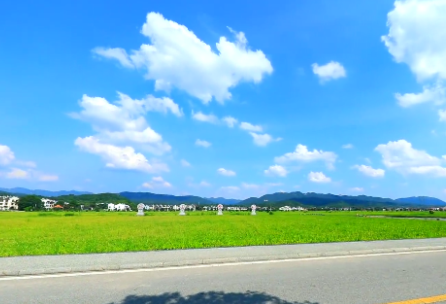 短视频 | 安仁“网红”路邀你来打卡