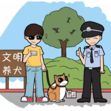 重要发布 | 关于征集《郴州市城区养犬管理条例（草案）》建议意见的公告