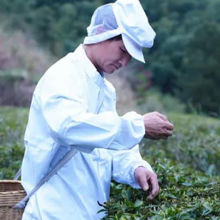 宜章范氏接骨术、米茶制作获批郴州市级非遗项目