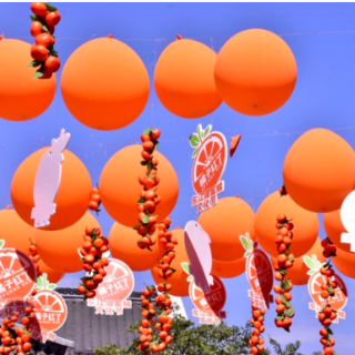 东江湖畔“橘子红了” 郴州长卷“橙”色迷人