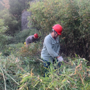 资兴实业：防山火  保供电