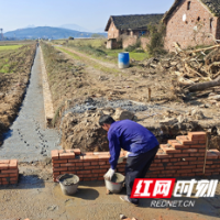 郴州市农业科学研究所：春暖花开时 项目建设忙