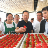 吴巨培：有攻有守 有进有退 有声有色 有为有位