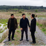 临武县万水乡人大代表助力春耕备耕