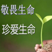 散文 | 生命礼赞