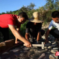 沙洲日记 | 幸福小道，利之于民