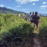 汝城县井坡镇：“渴”不容缓  党群齐心抗旱保粮