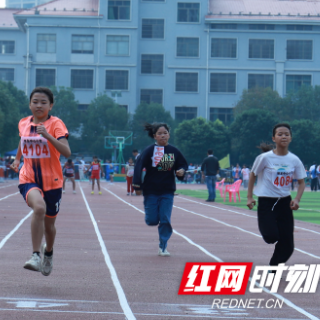 临武县第三十八届中小学生田径运动会激情上演