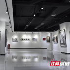 郴州市书画院双年展在北湖区文化馆正式开展