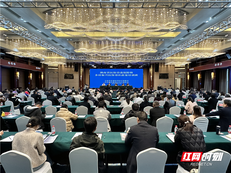 2023年湖南省医保待遇保障暨乡村振兴医保帮扶政策培训班在郴州开班
