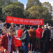 北湖区推动网络普法九进活动
