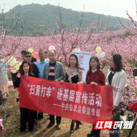 临武县：“扫黄打非”宣传“蹭上”旅游节会热度