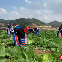 桂阳县委统战部：开展就业帮扶 实现“双向奔赴”