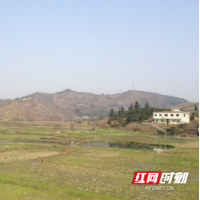 永兴县马田镇：十大农业产业巩固拓展脱贫攻坚成果