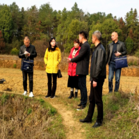 桂阳：深入一线监督，为早稻生产按下“快进键”