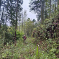 护林标兵林万宣：守护绿水青山的忠诚卫士