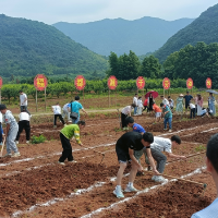 临武：首届中小学生劳动技能大赛共享劳动“盛宴”