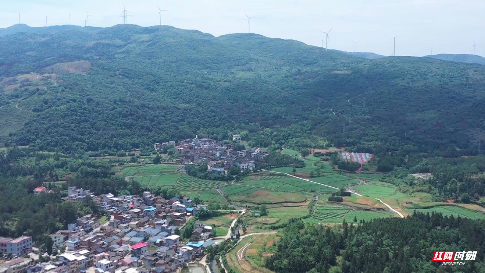 临武县龙水村：小小竹篱笆  围出美丽新乡村