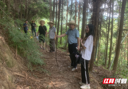 资兴：大学生“返家乡”参与社会实践助力家乡发展