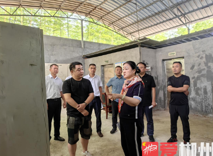 省第三督察组组长带队赴北湖区开展下沉督察：强化问题整改成效 护航生态环境保护