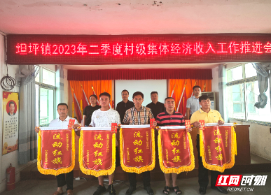 嘉禾县坦坪镇村级集体经济推进会上有“红旗”也有“黄旗”