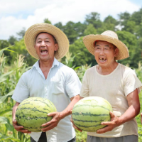 桂阳：支部农场+特色种植 助力乡村振兴