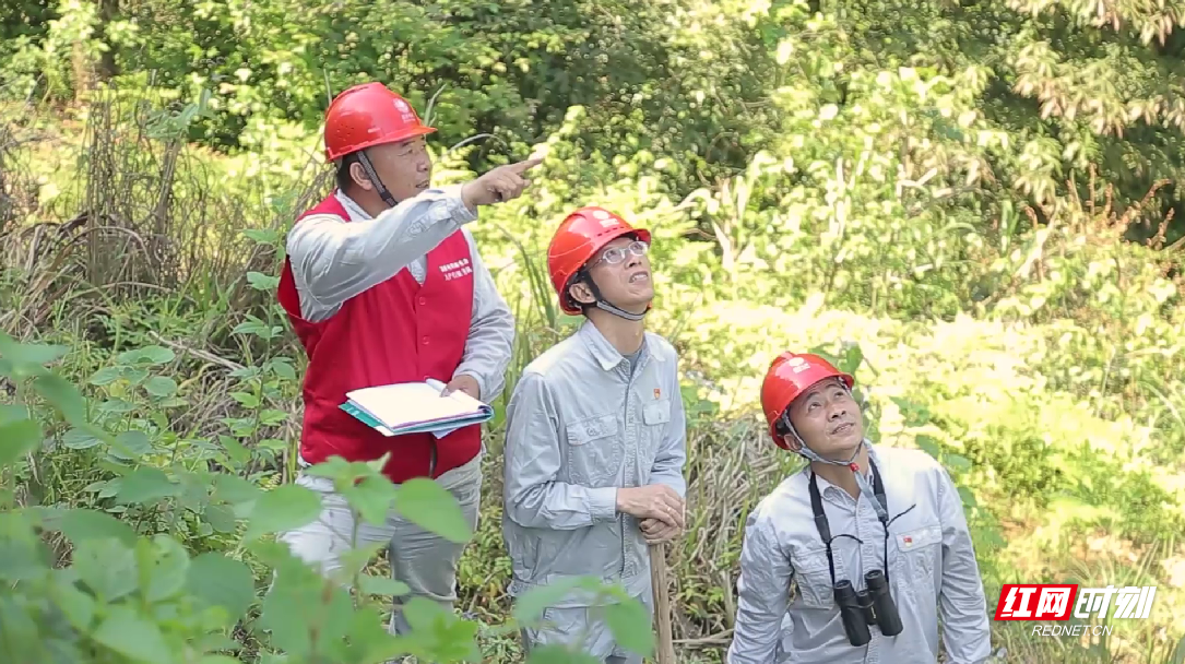 国网郴州供电公司 助力“旅发”建设跑出“加速度”