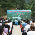 这个宝藏徒步地就在郴州骑田岭！湖南首条国家森林步道正式启用